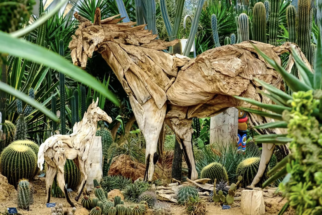 Chenshan Botanical Garden